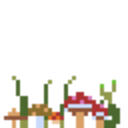 decoration