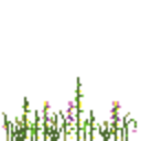 decoration