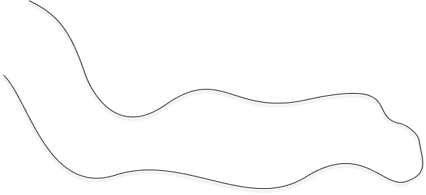 lignes