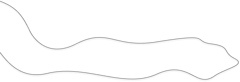 lignes